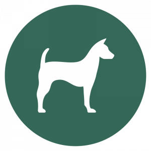 Uz Veterinar