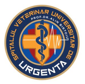 Consultatie Icon